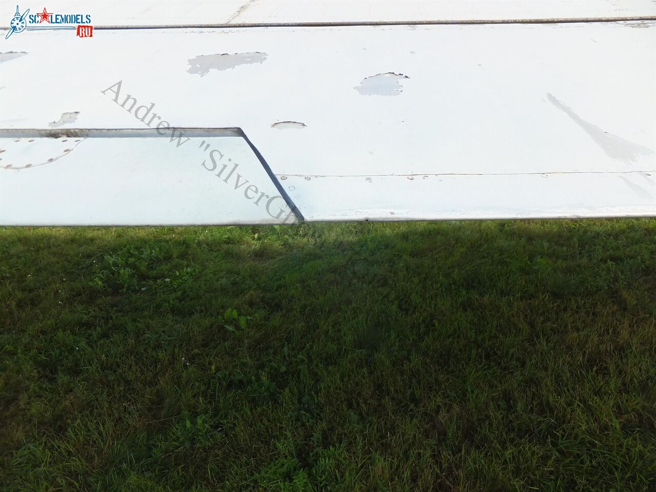 DSCF1537.JPG