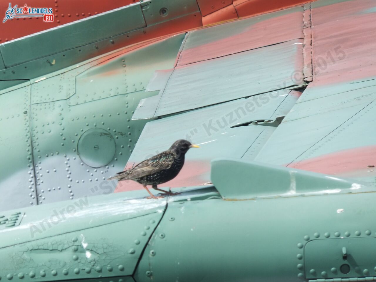 Su-25_0021.jpg