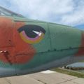 Su-25_0050.jpg