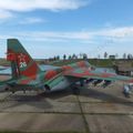 Su-25_0213.jpg