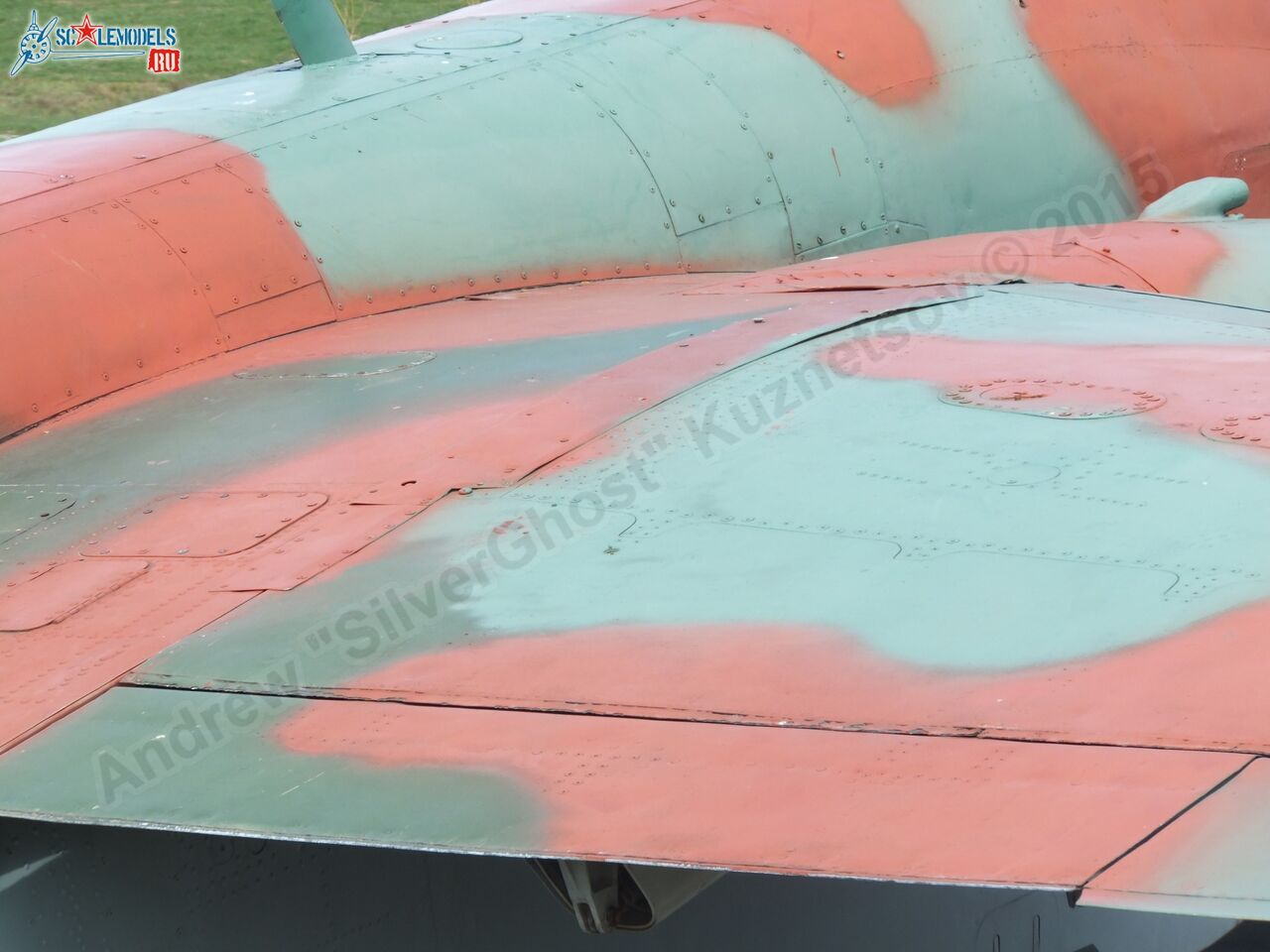 Su-25_0219.jpg