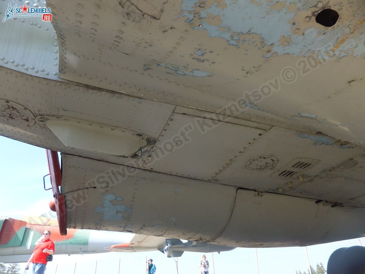 Su-25_0393.jpg