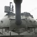 T-10_(IS-8)_0031.jpg