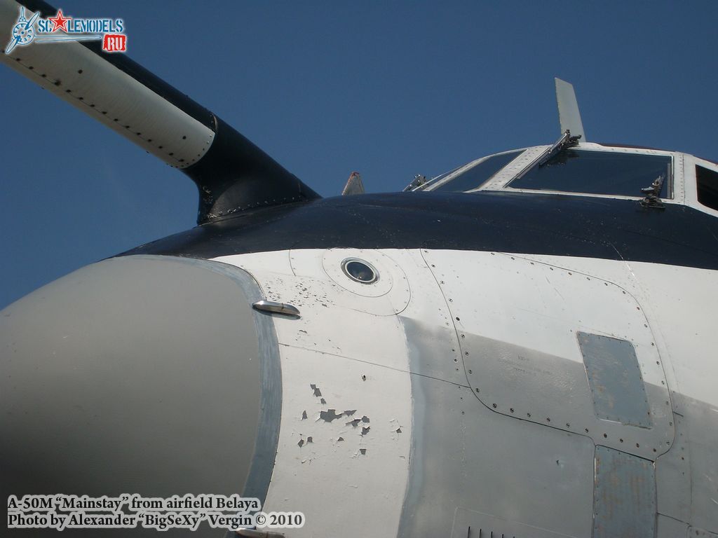 SL275640.jpg