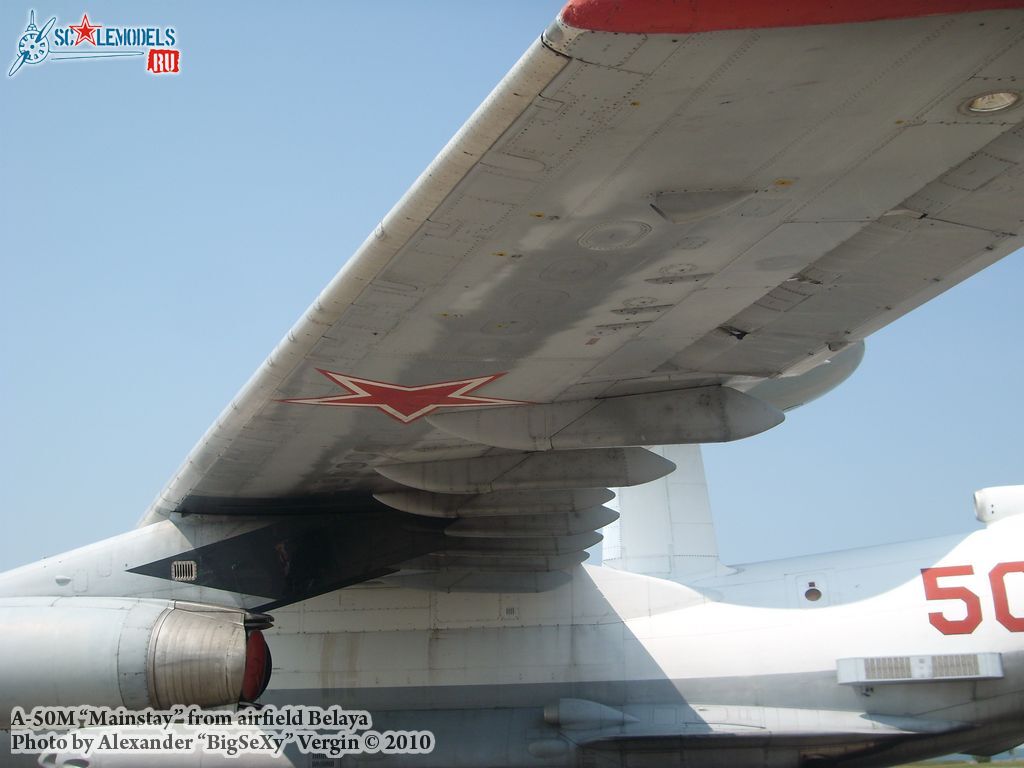 SL275475.jpg