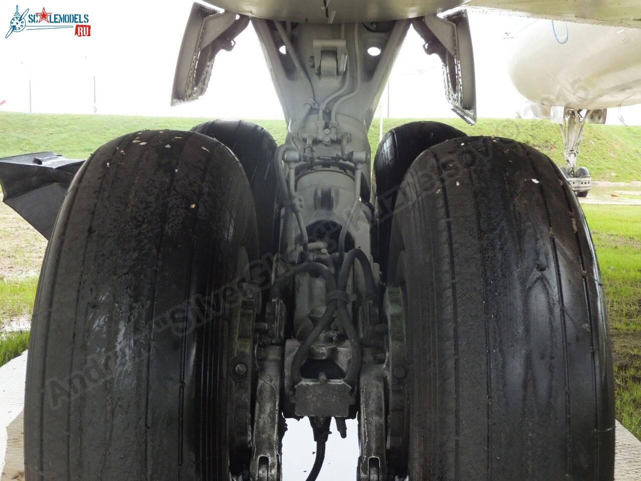 Tu-134A_USSR-65036_0095.jpg