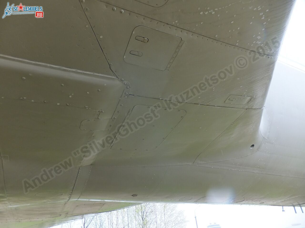 Tu-134A_USSR-65036_0201.jpg