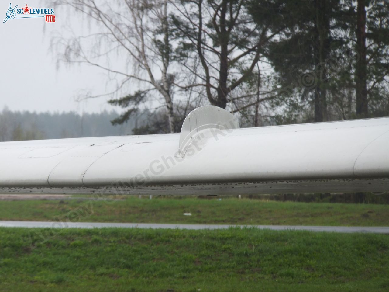 Tu-134A_USSR-65036_0533.jpg