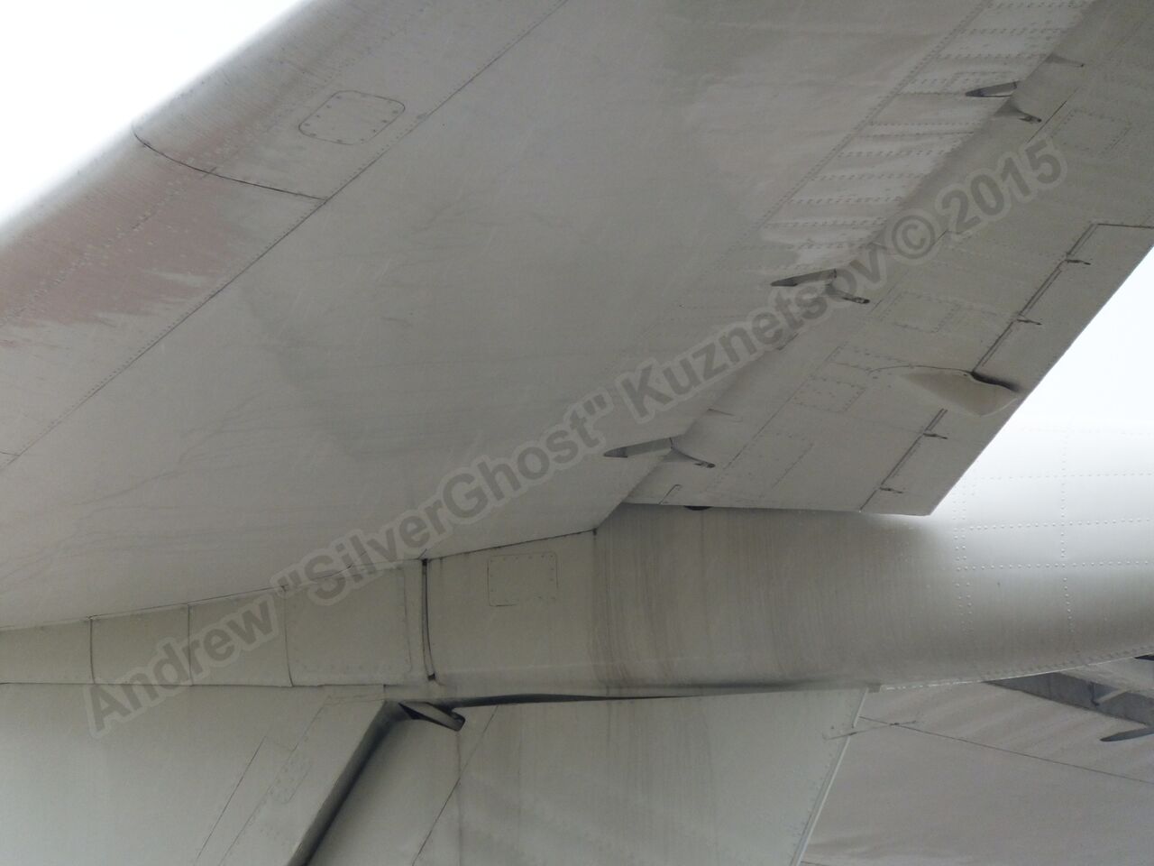 Tu-134A_USSR-65036_0619.jpg