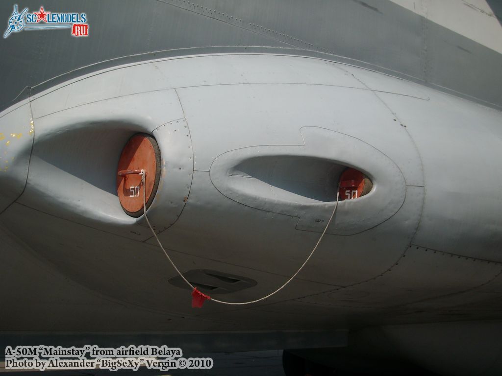 SL275504.jpg
