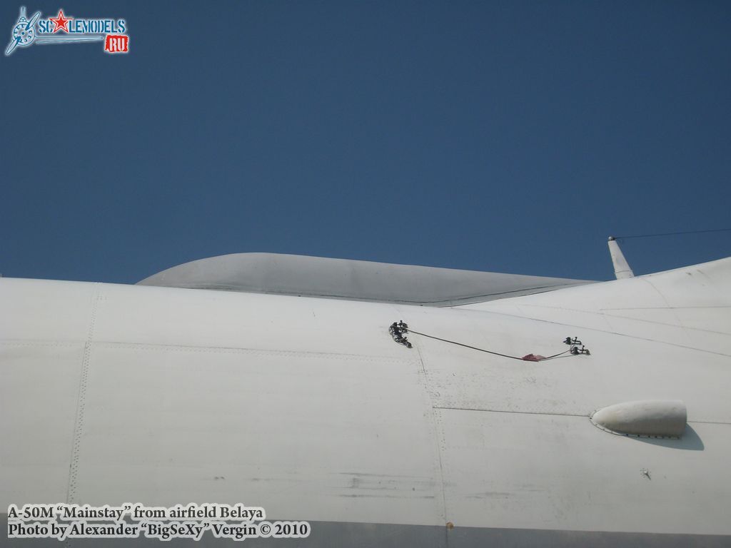SL275514.jpg