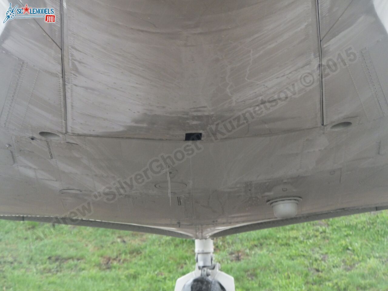 Yak-40_EW-88202_0180.jpg