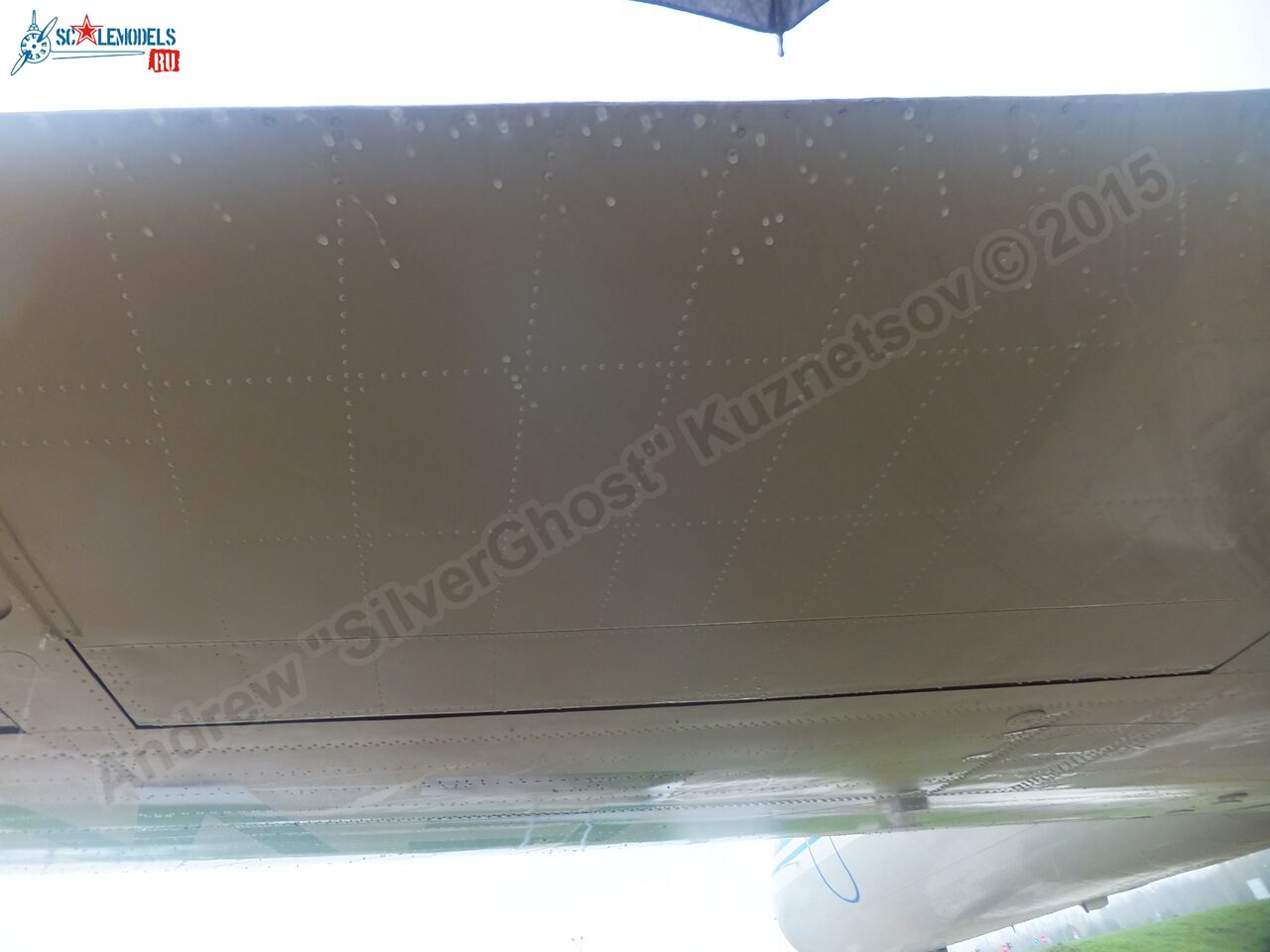 Yak-40_EW-88202_0253.jpg