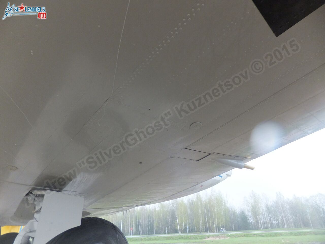 Yak-40_EW-88202_0259.jpg
