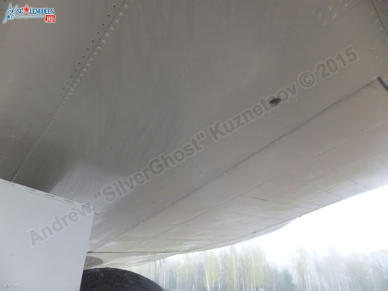Yak-40_EW-88202_0276.jpg
