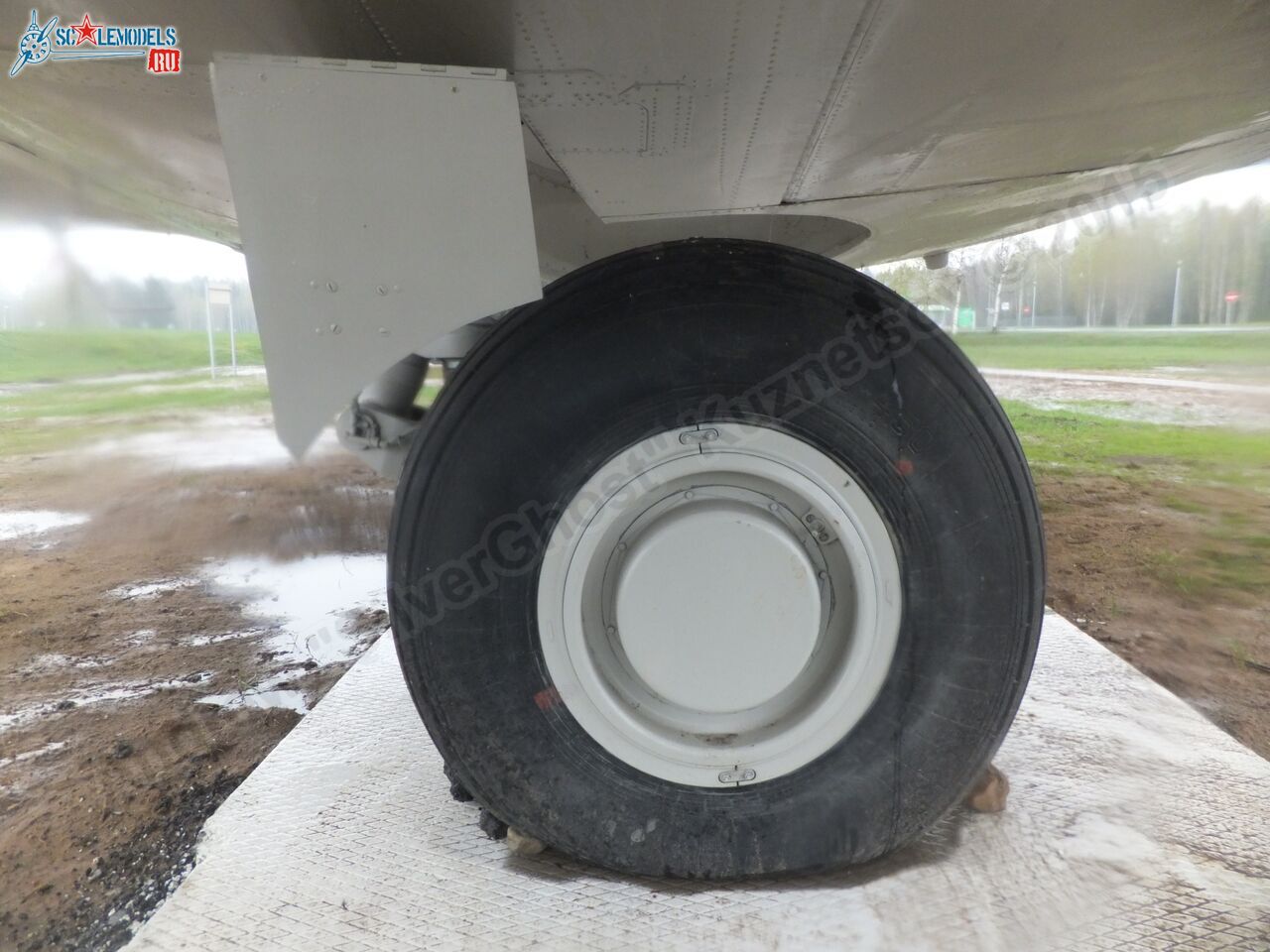 Yak-40_EW-88202_0277.jpg