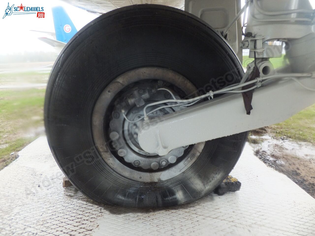 Yak-40_EW-88202_0280.jpg