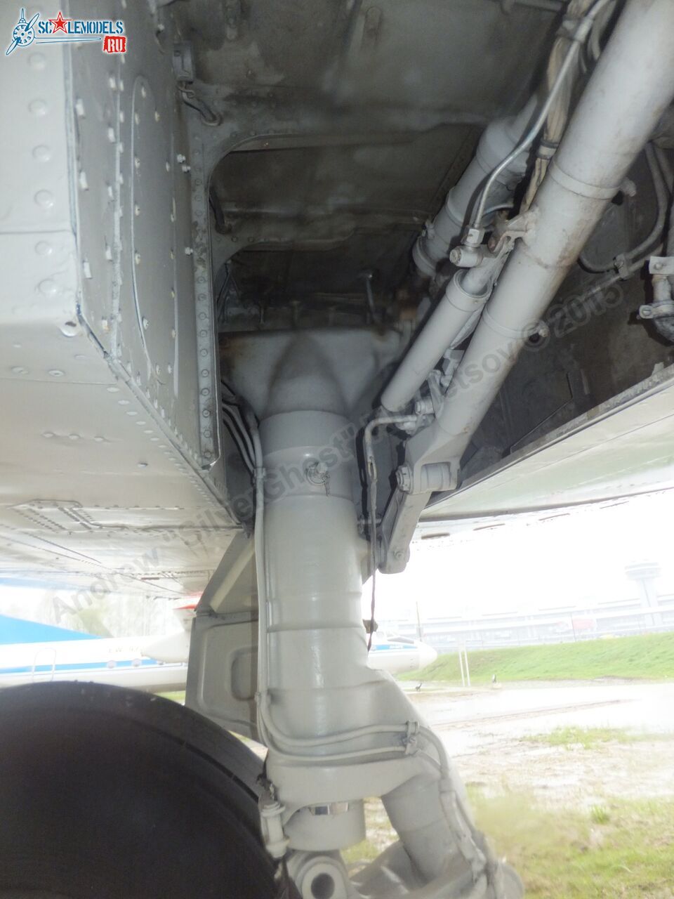 Yak-40_EW-88202_0282.jpg