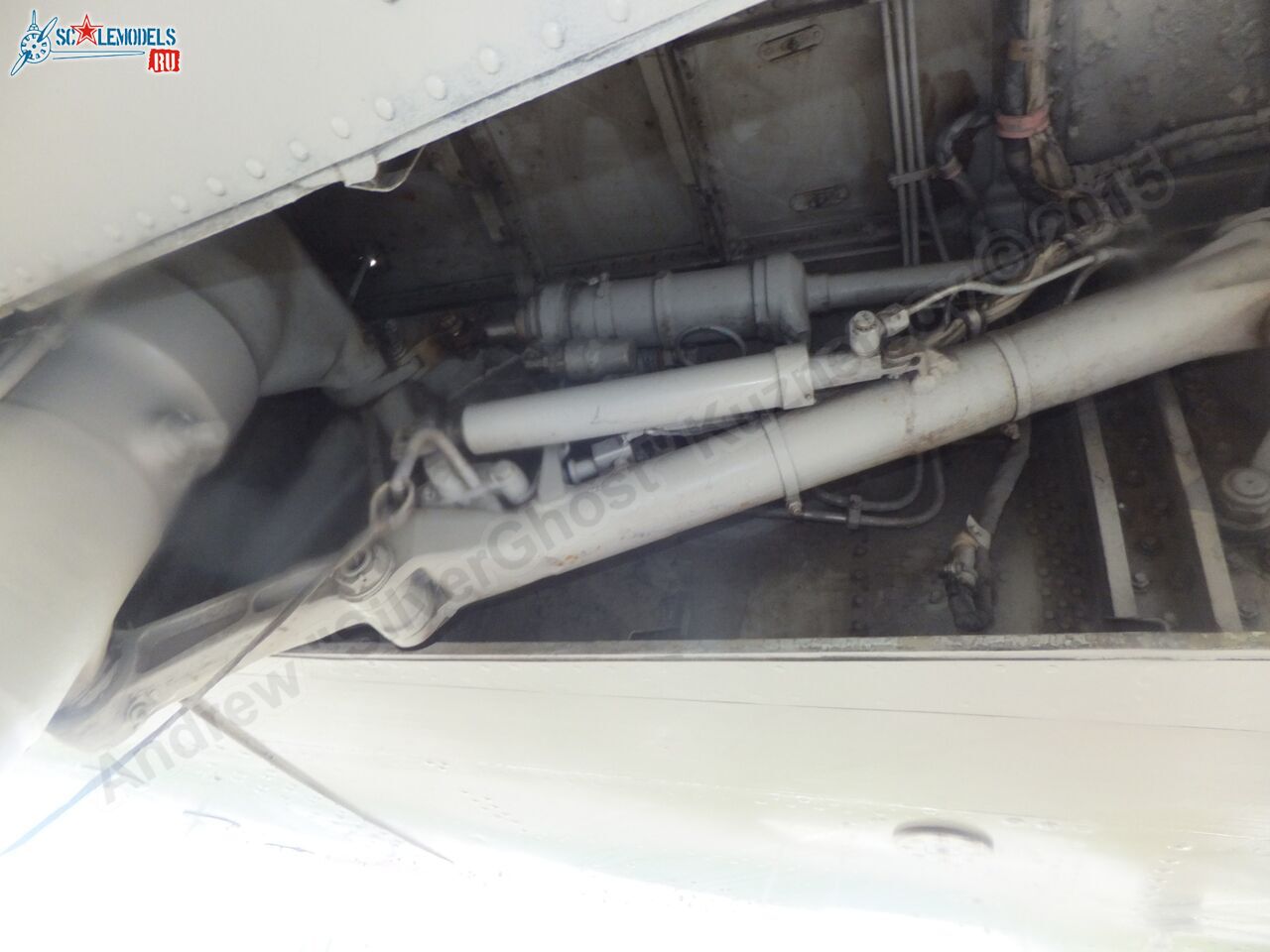 Yak-40_EW-88202_0285.jpg