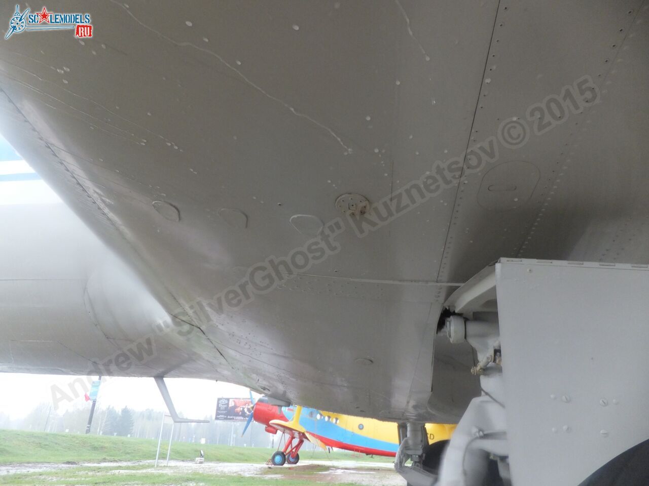 Yak-40_EW-88202_0296.jpg