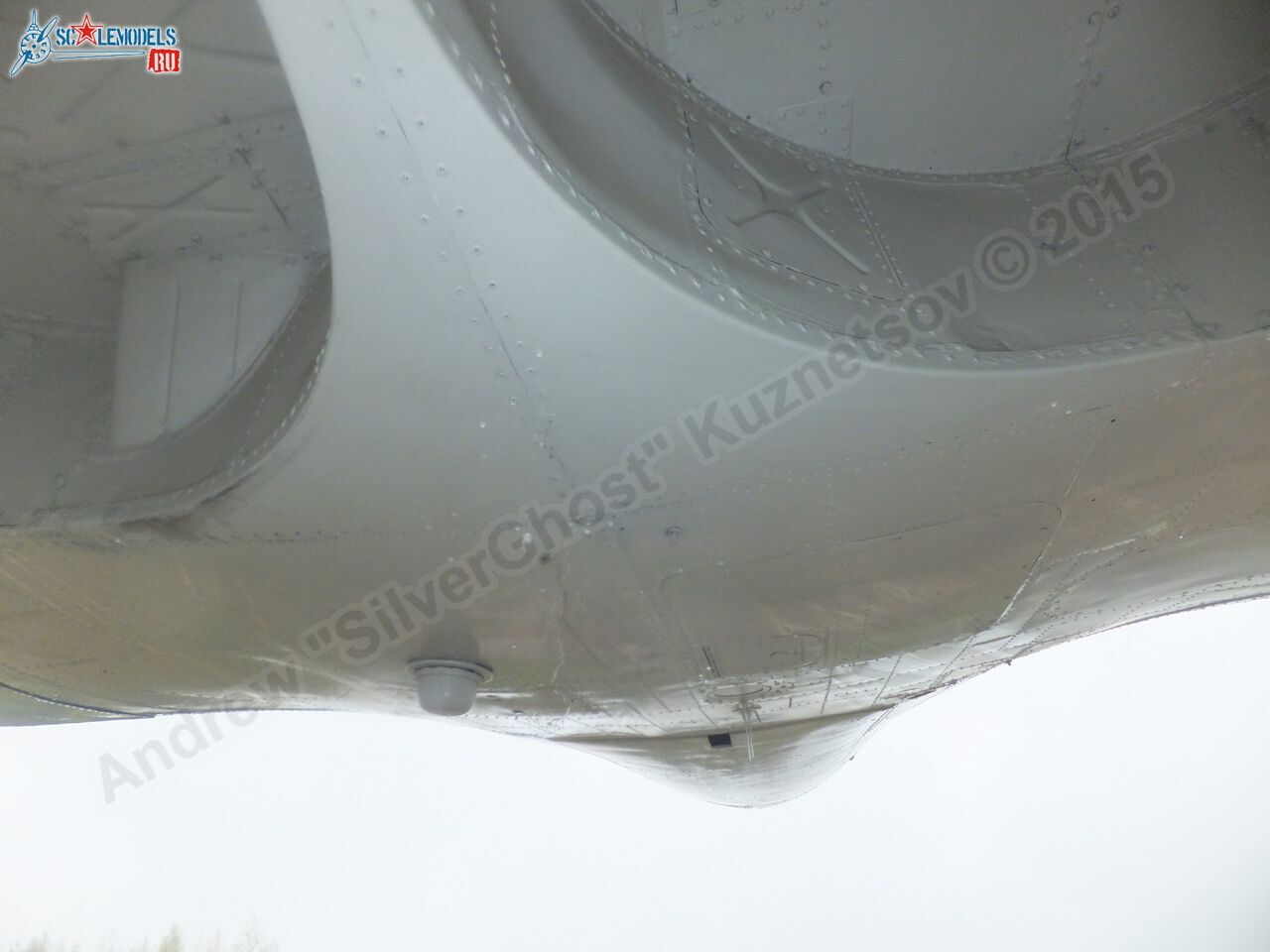 Yak-40_EW-88202_0316.jpg