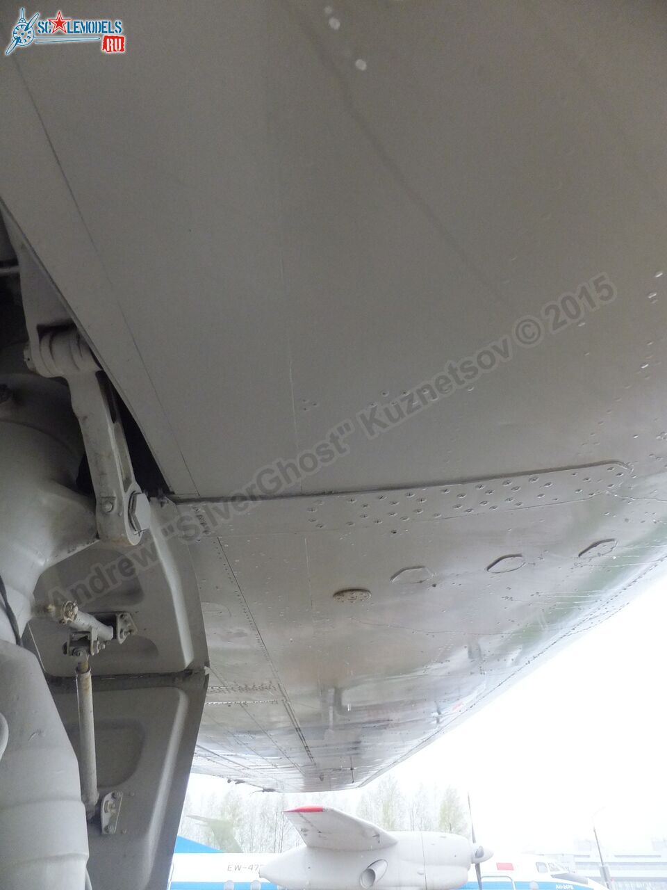Yak-40_EW-88202_0323.jpg