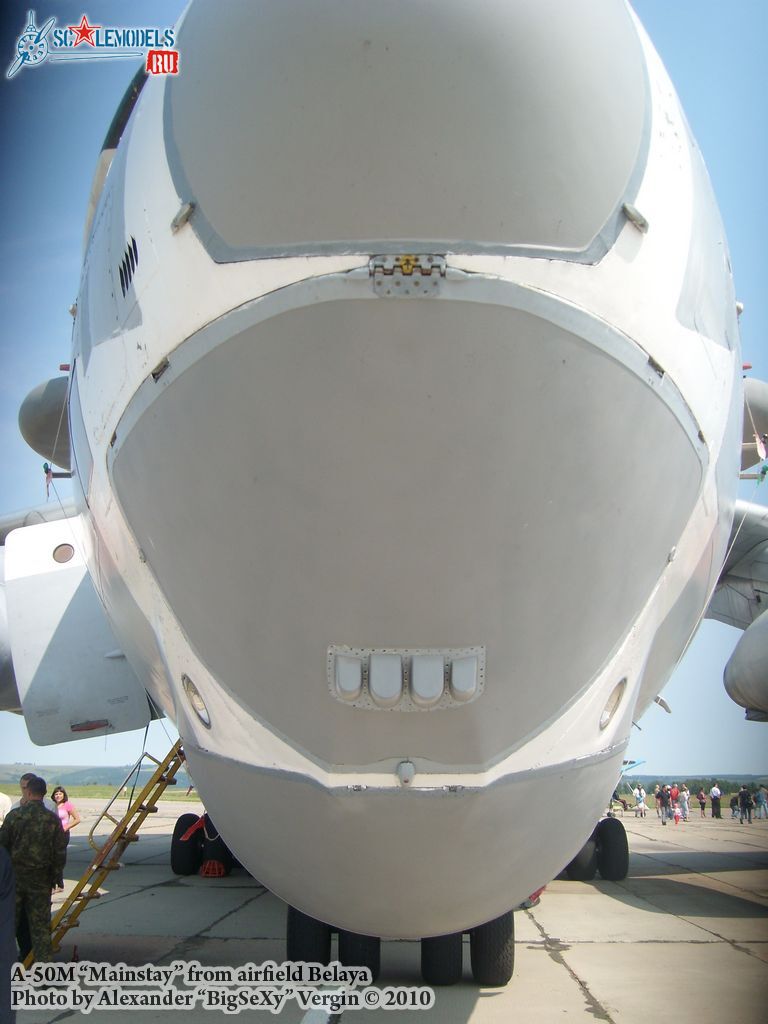 SL275528.jpg