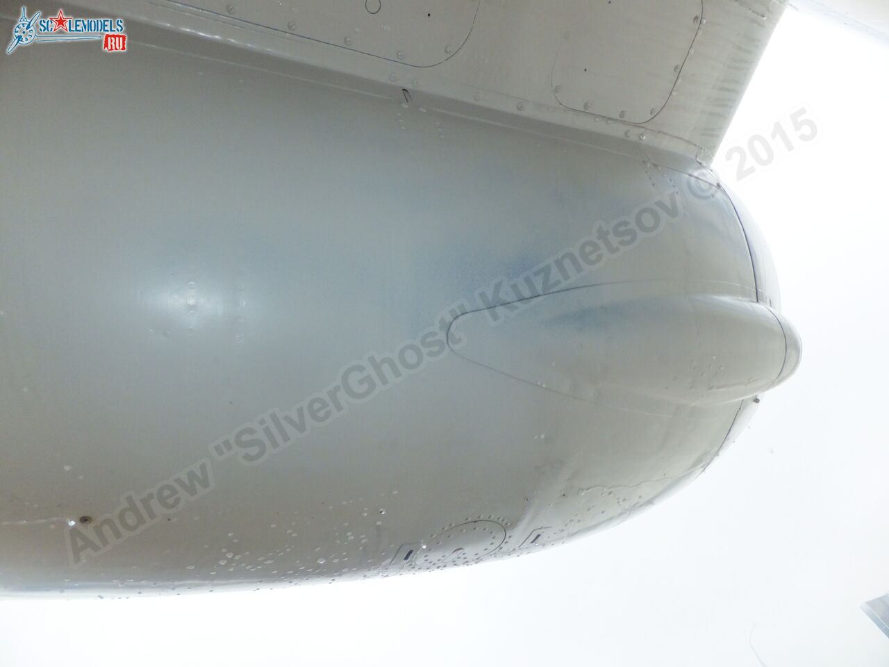Yak-40_EW-88202_0343.jpg