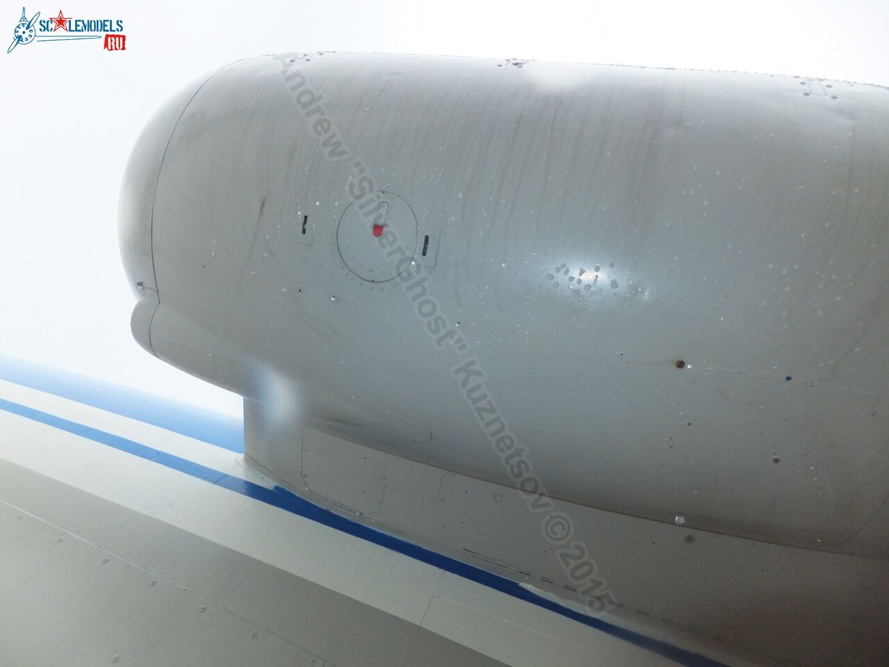 Yak-40_EW-88202_0344.jpg