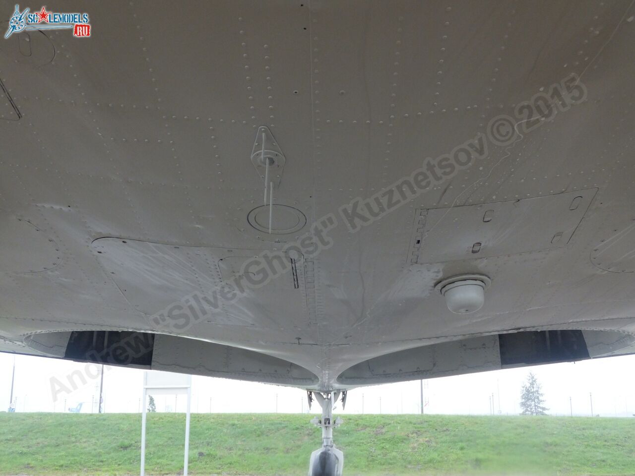 Yak-40_EW-88202_0357.jpg