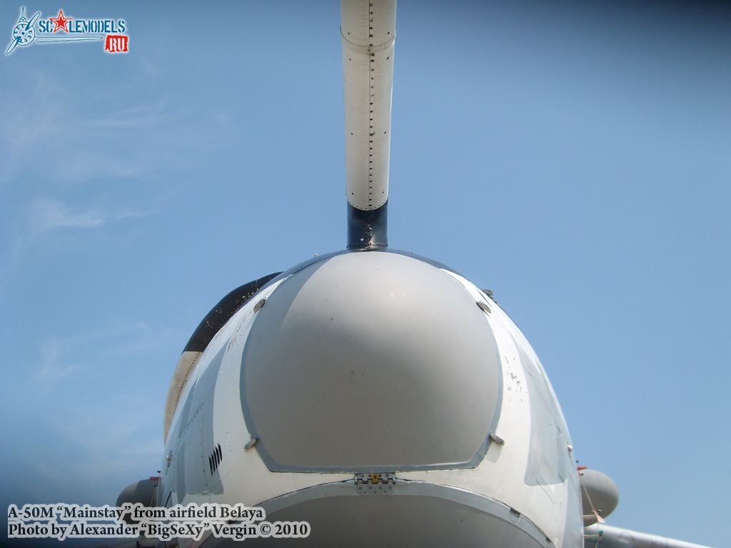 SL275529.jpg