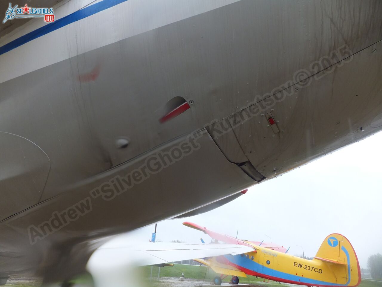 Yak-40_EW-88202_0381.jpg