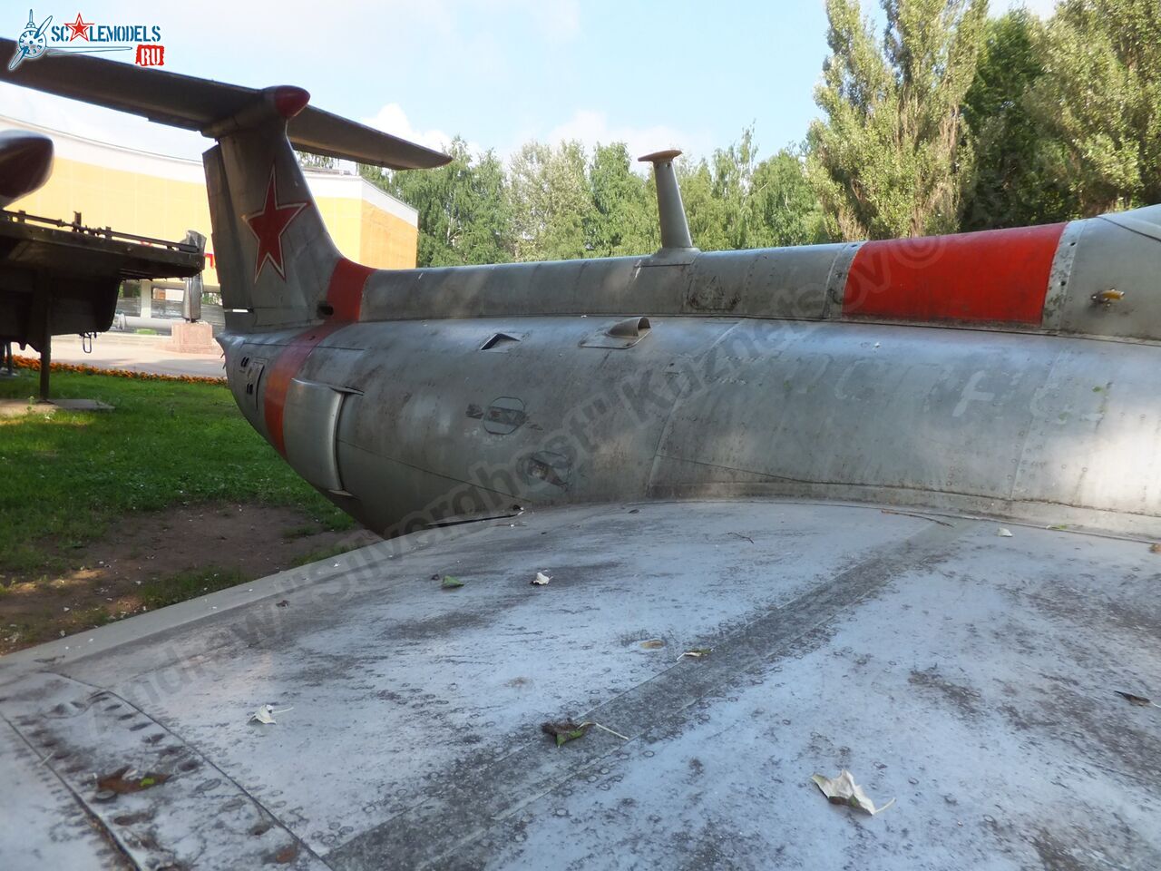 L-29_Delfin_0017.jpg