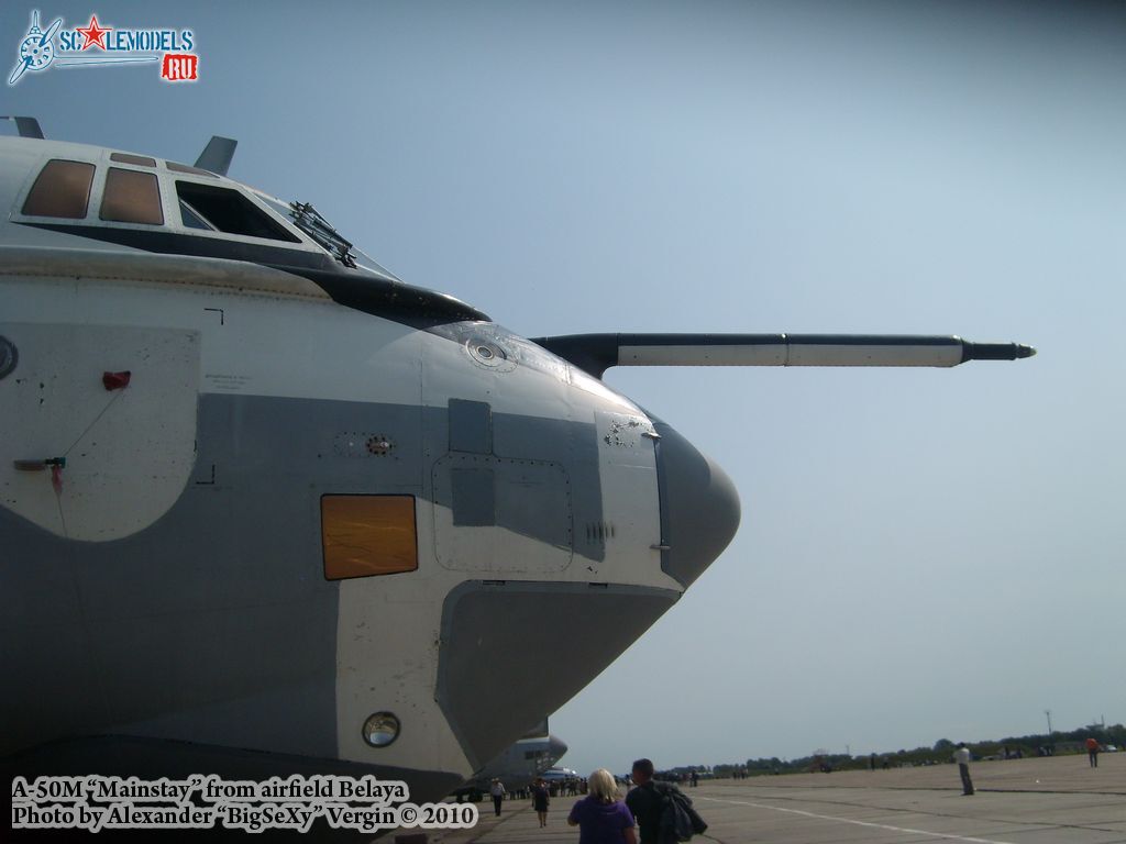SL275535.jpg