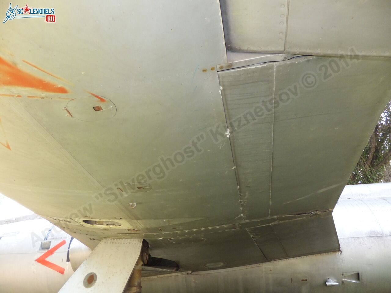 L-29_Delfin_0130.jpg