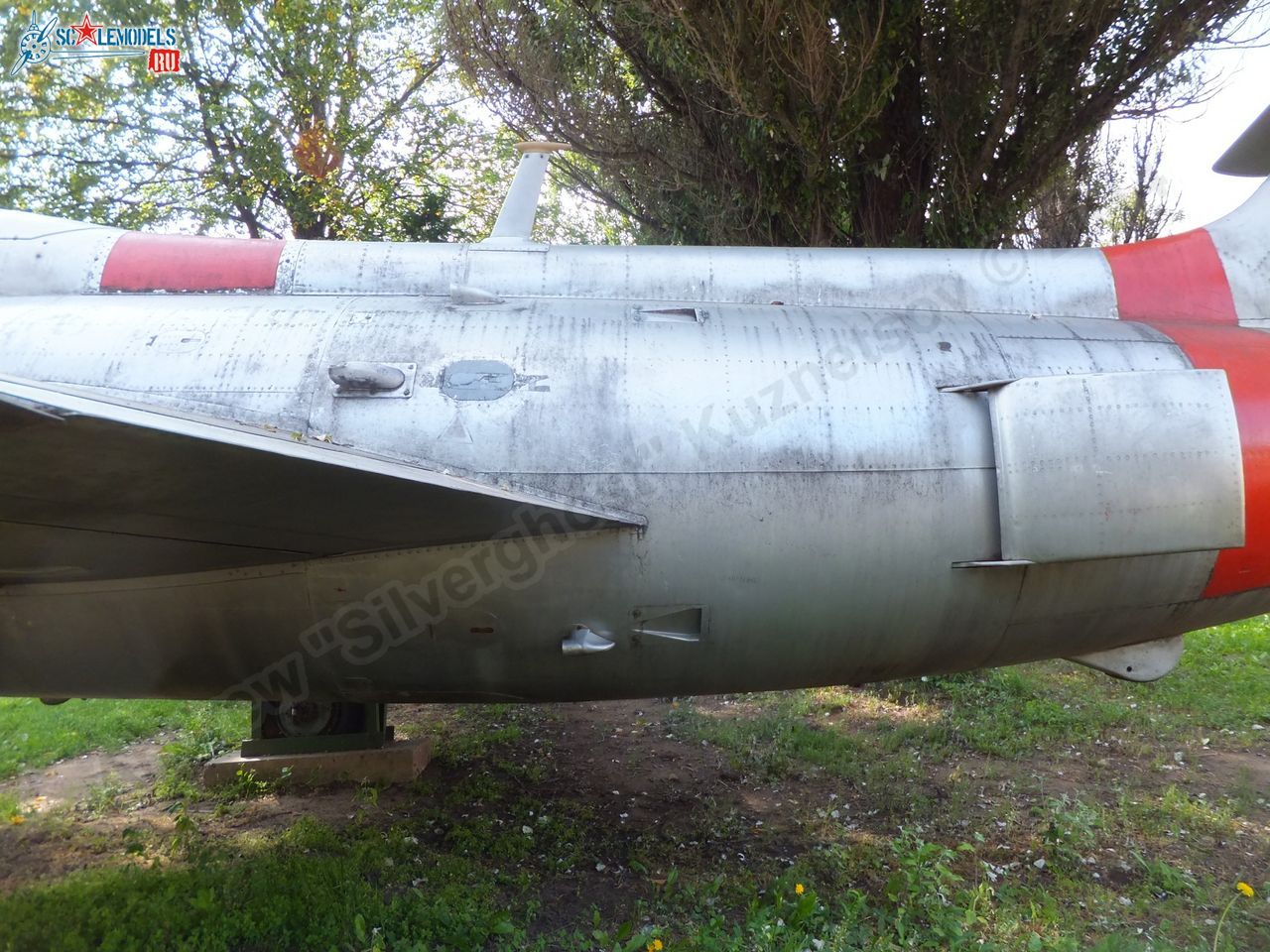 L-29_Delfin_0131.jpg