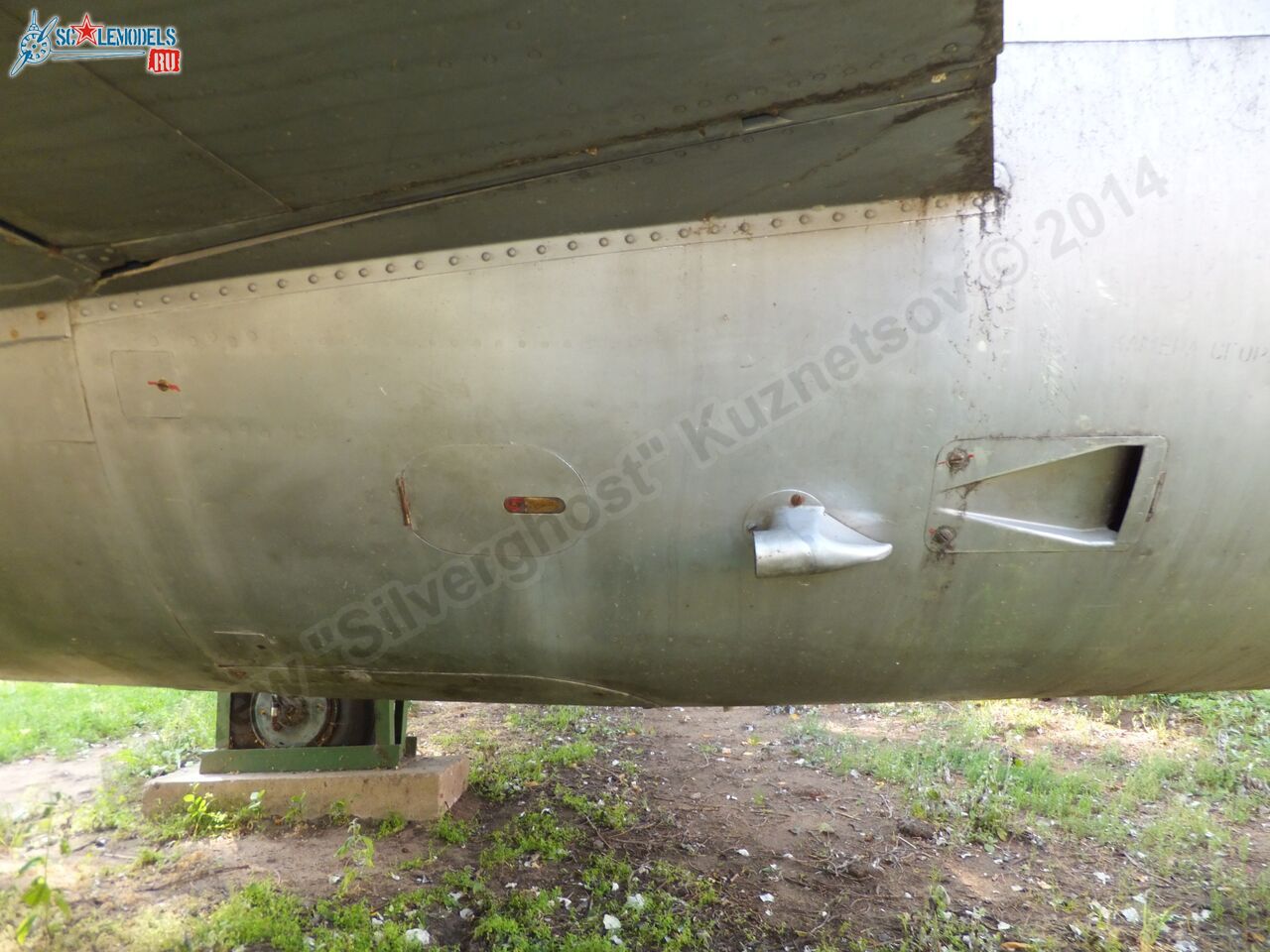 L-29_Delfin_0132.jpg