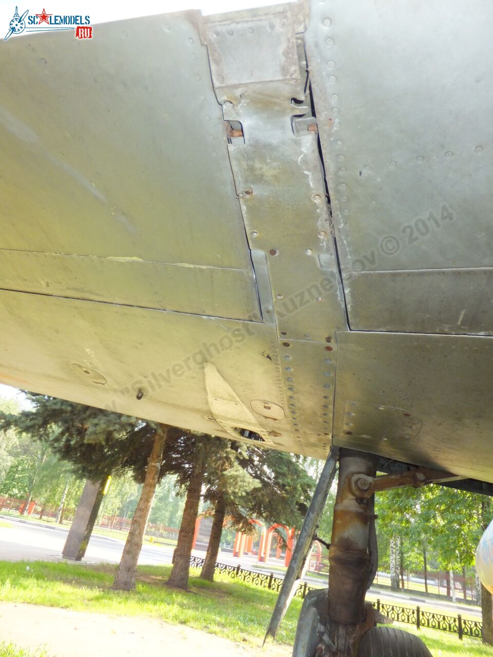 L-29_Delfin_0136.jpg