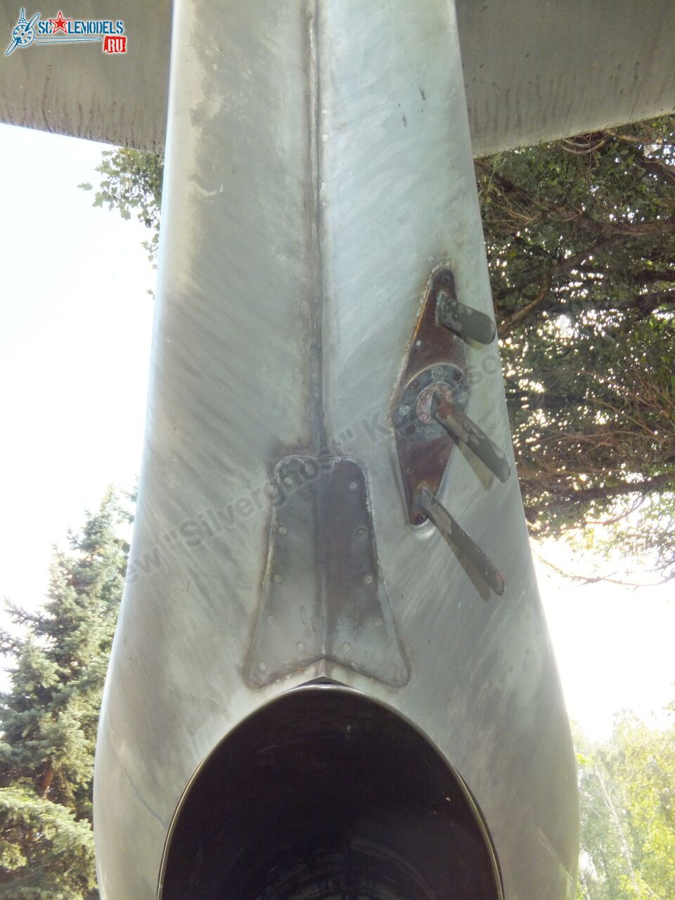 L-29_Delfin_0167.jpg