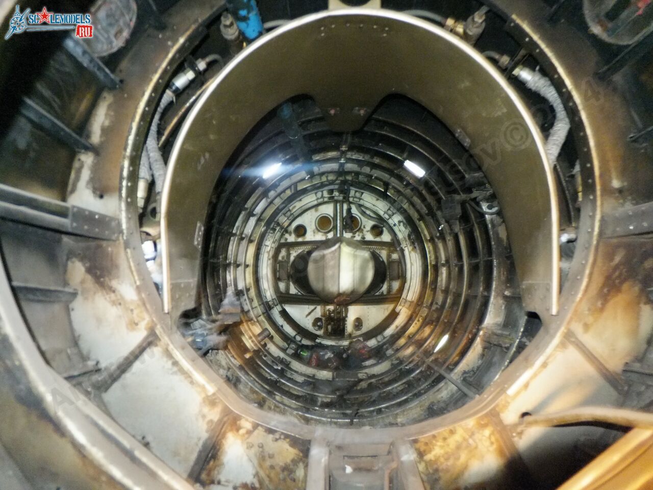 L-29_Delfin_0170.jpg