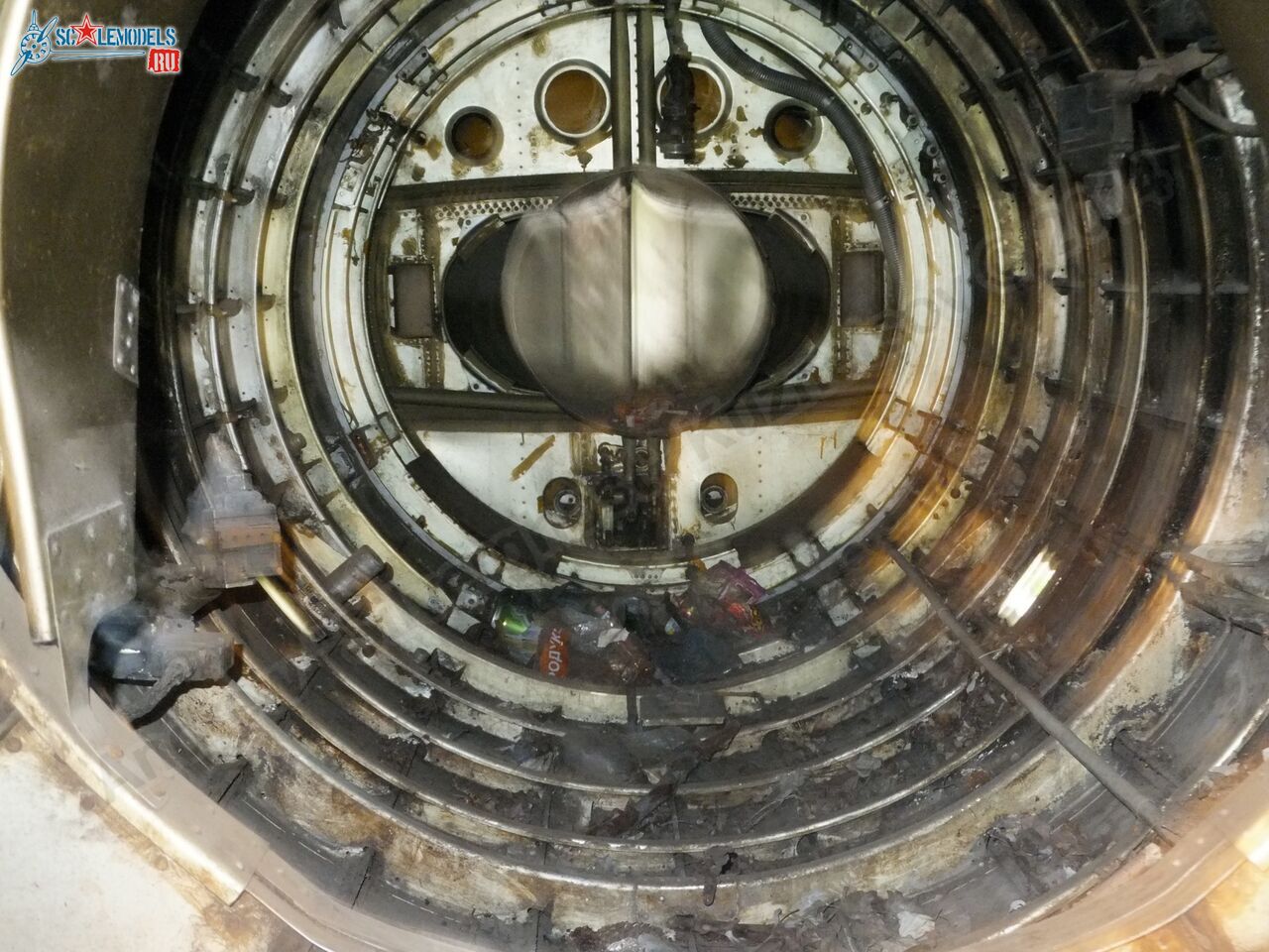 L-29_Delfin_0172.jpg