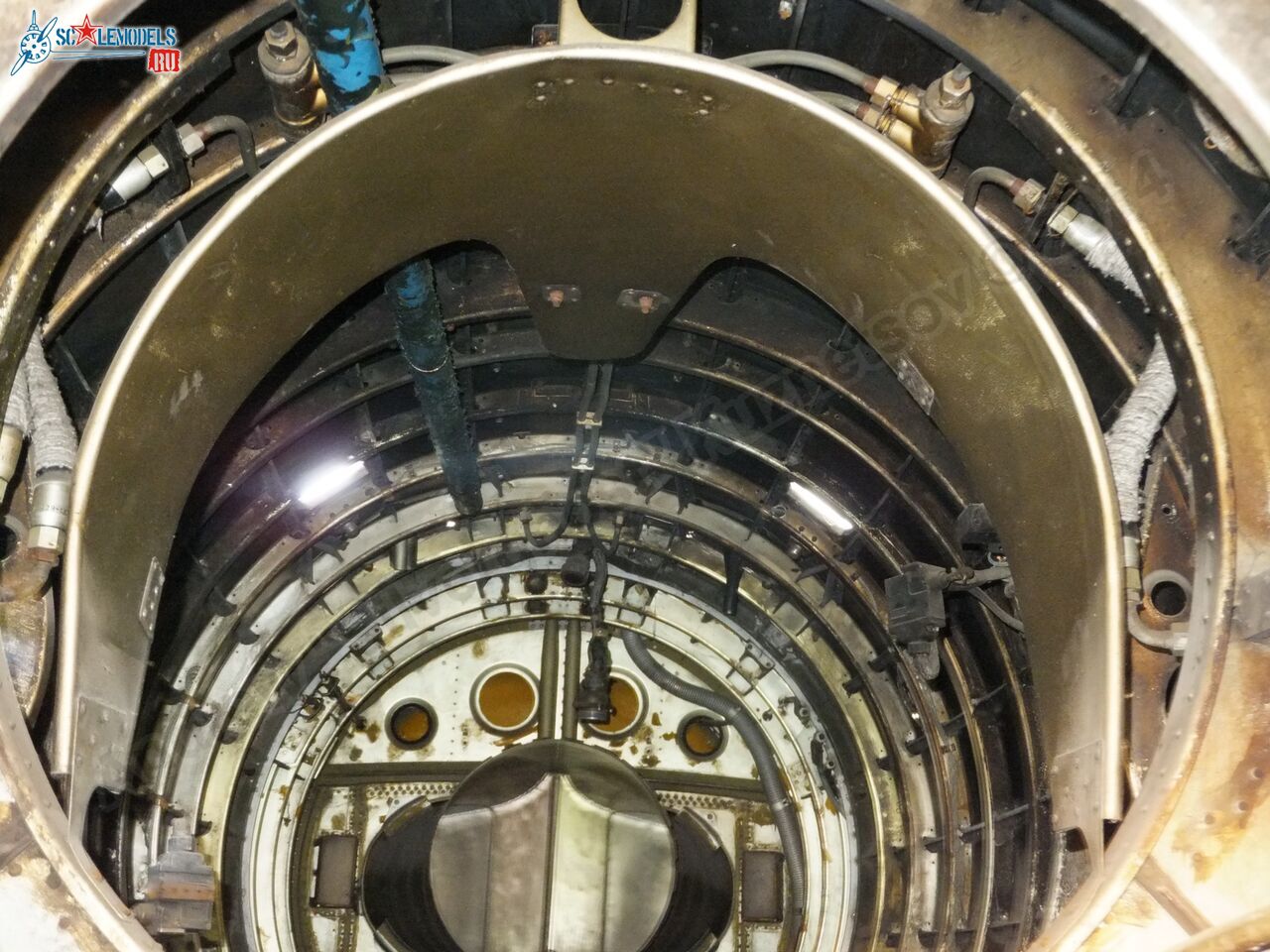 L-29_Delfin_0173.jpg