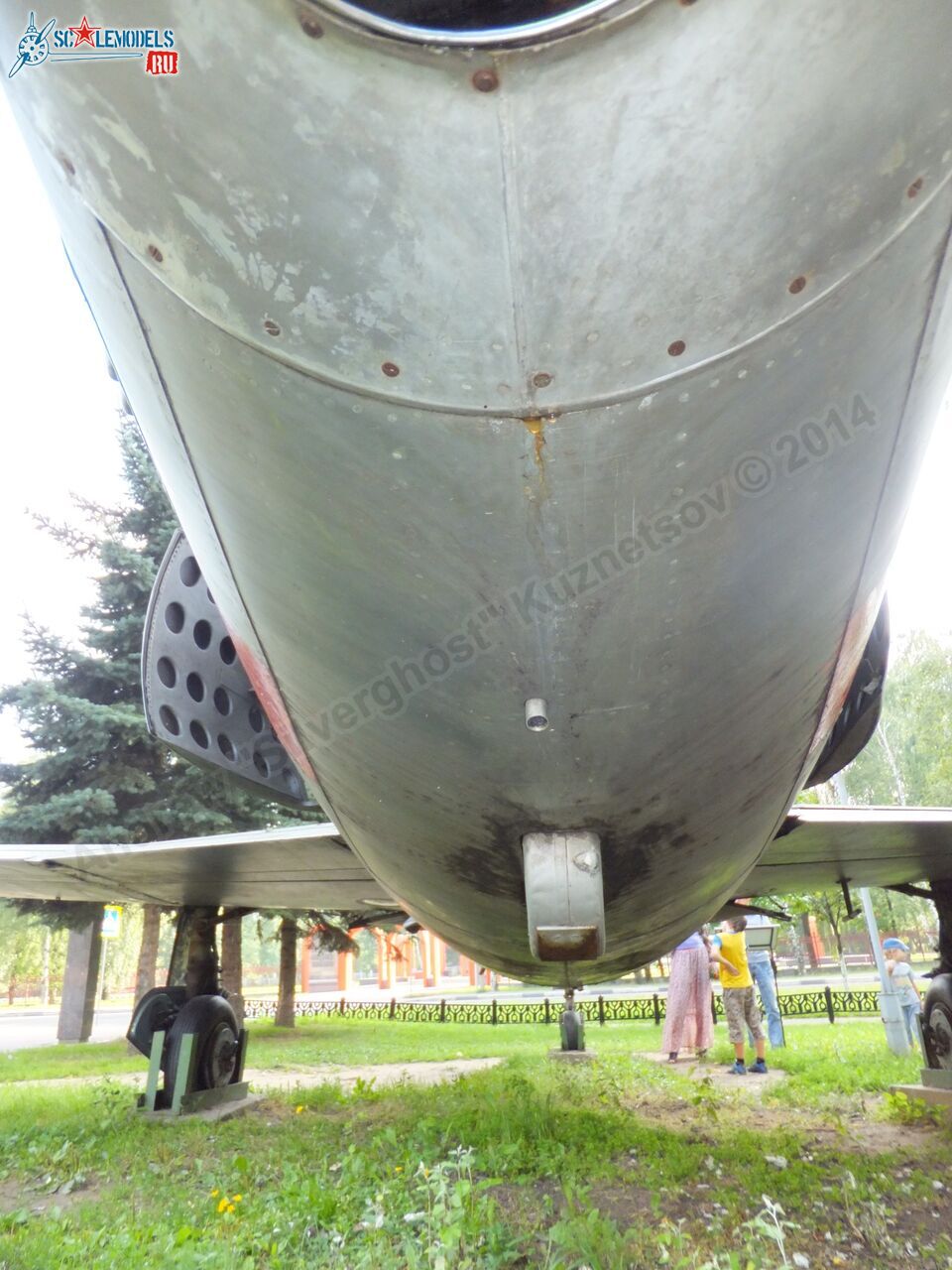 L-29_Delfin_0174.jpg
