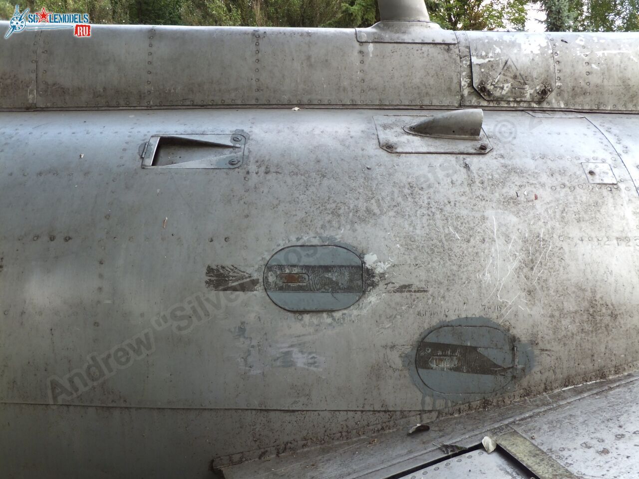 L-29_Delfin_0184.jpg
