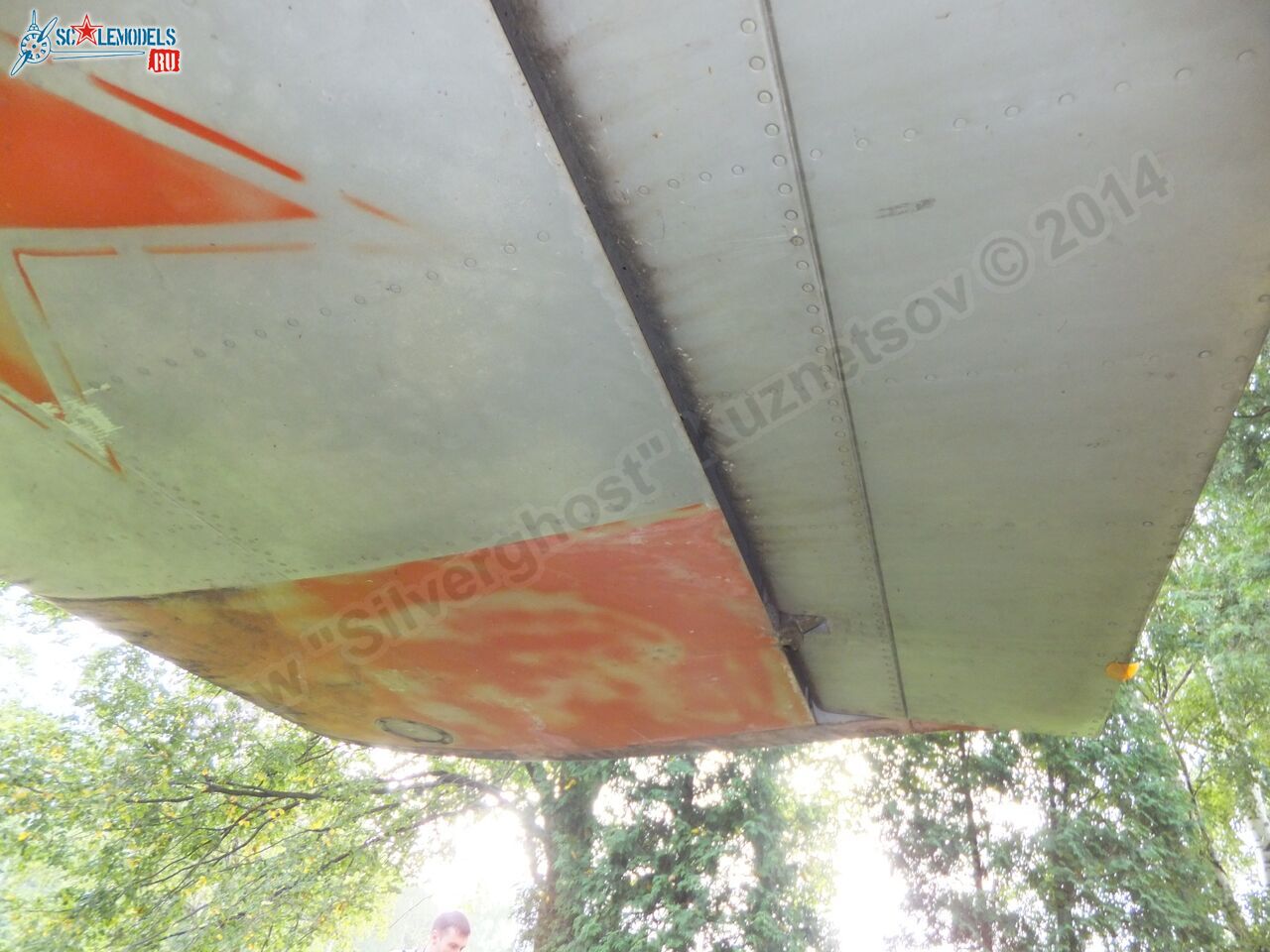 L-29_Delfin_0199.jpg