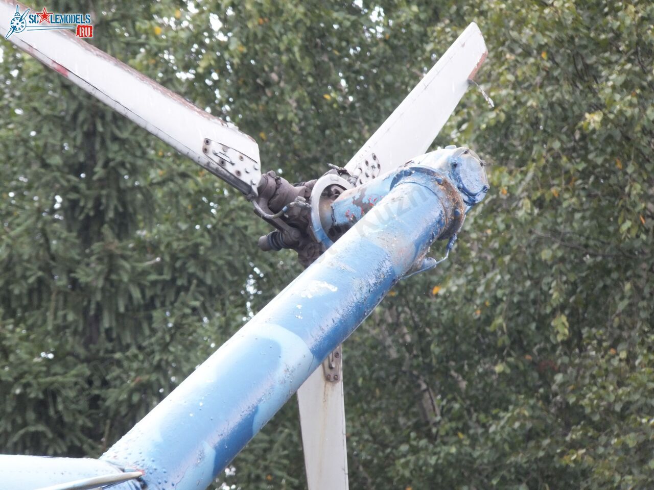 Mi-1_0041.jpg