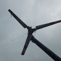 Mi-1_0089.jpg
