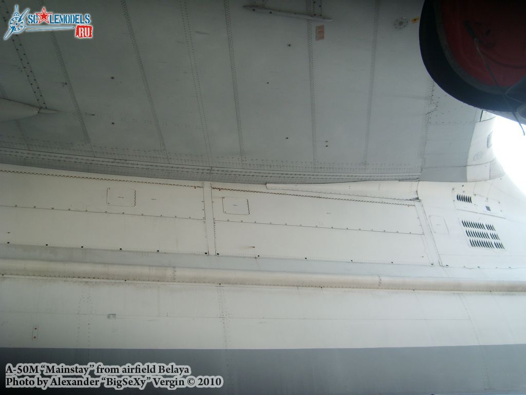 SL275567.jpg