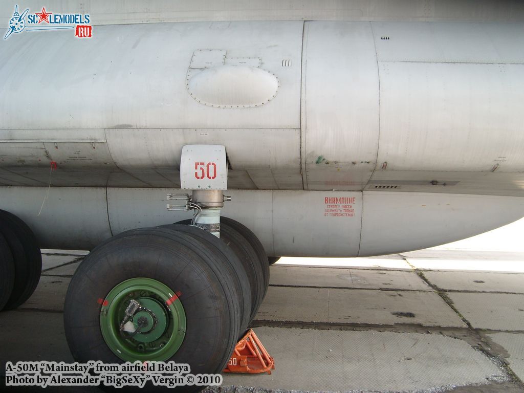 SL275572.jpg