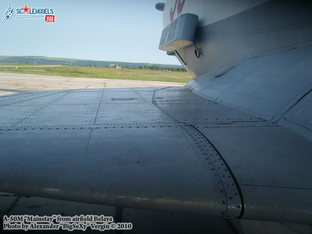 SL275581.jpg